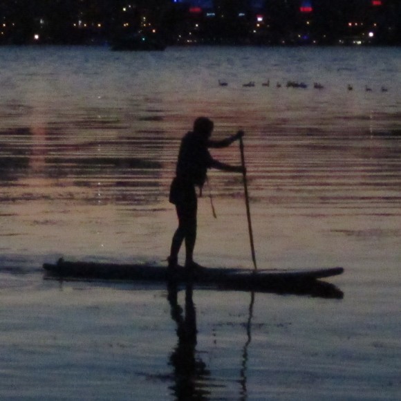 Meet your Posher, Elliot - Picture 1 of 1